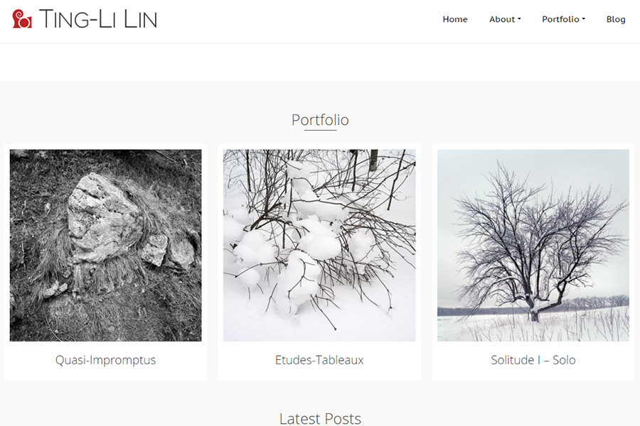 Ting-Li Lin's Website