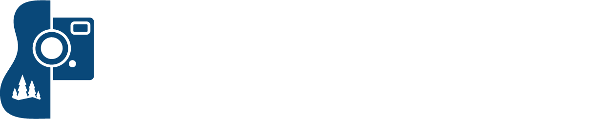 Snowforest Logo